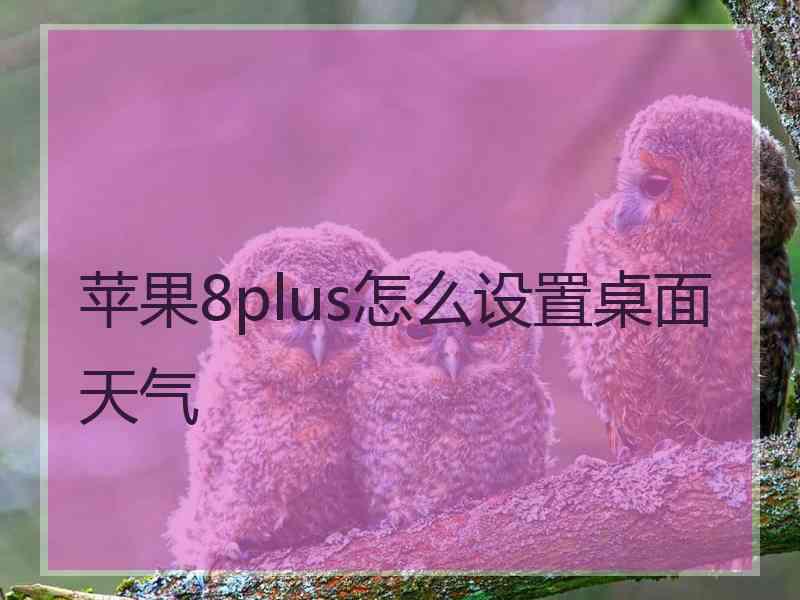 苹果8plus怎么设置桌面天气