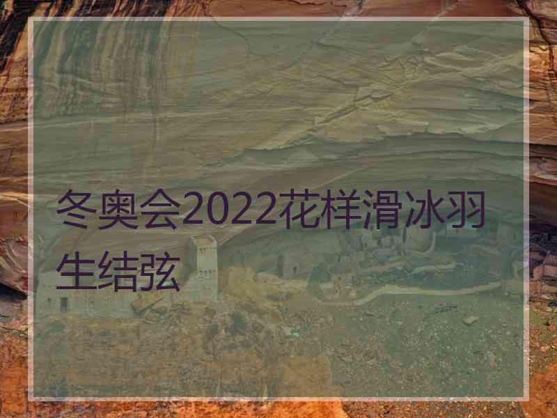 冬奥会2022花样滑冰羽生结弦