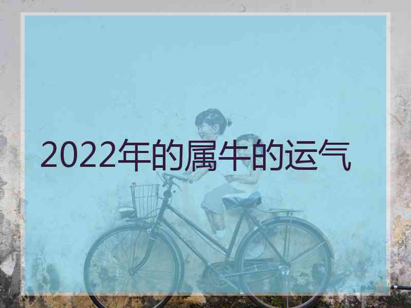 2022年的属牛的运气