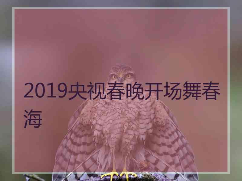 2019央视春晚开场舞春海