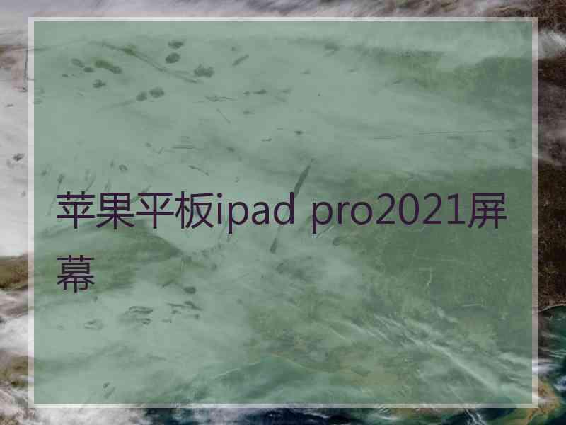 苹果平板ipad pro2021屏幕