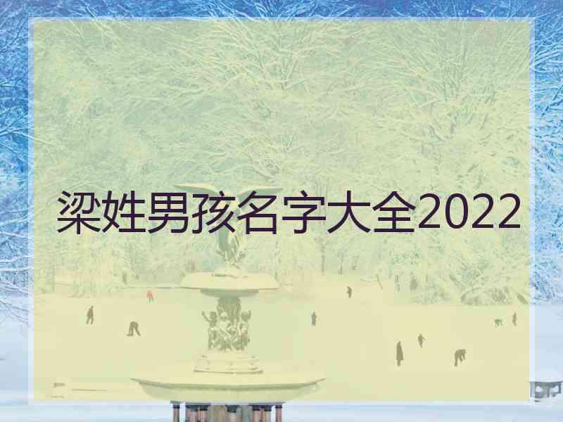 梁姓男孩名字大全2022