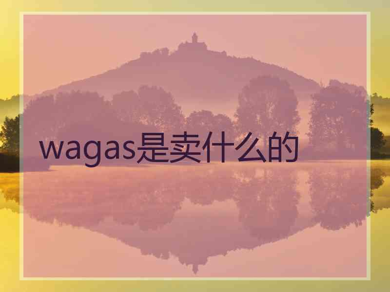 wagas是卖什么的