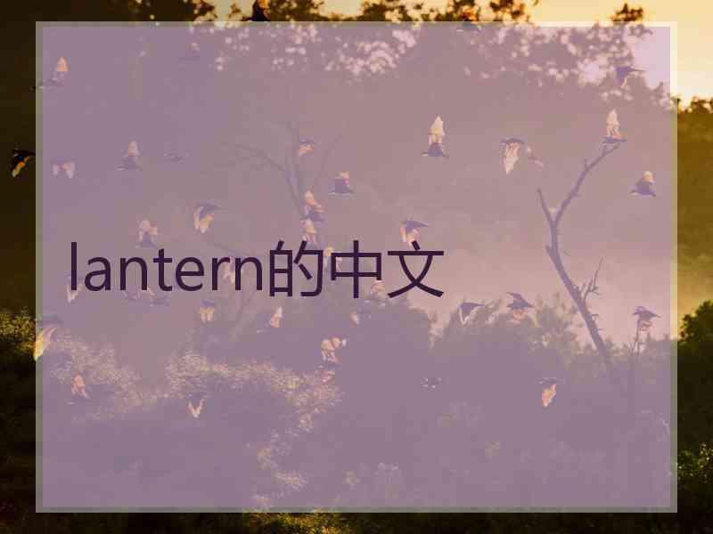 lantern的中文