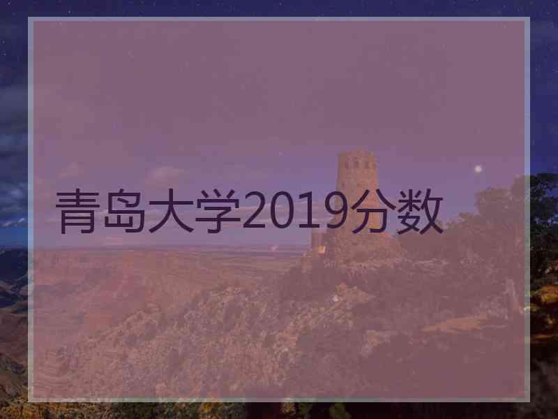 青岛大学2019分数