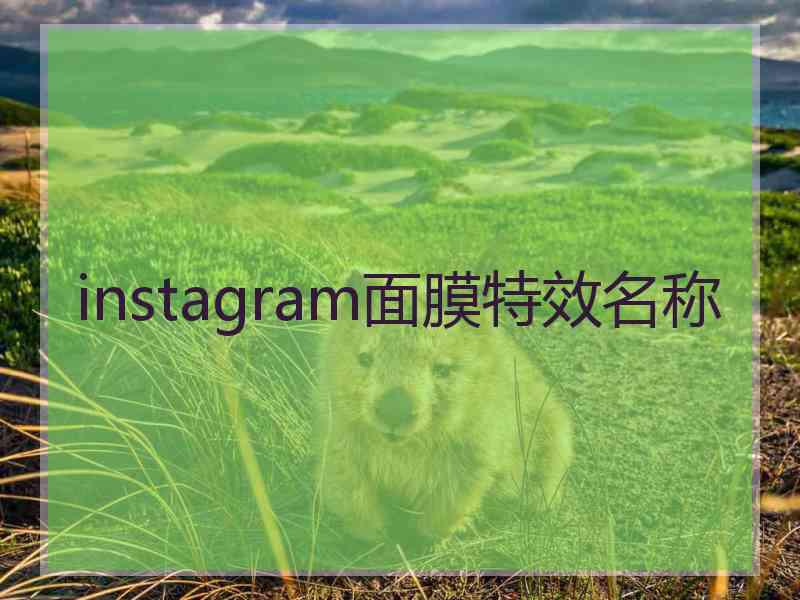 instagram面膜特效名称