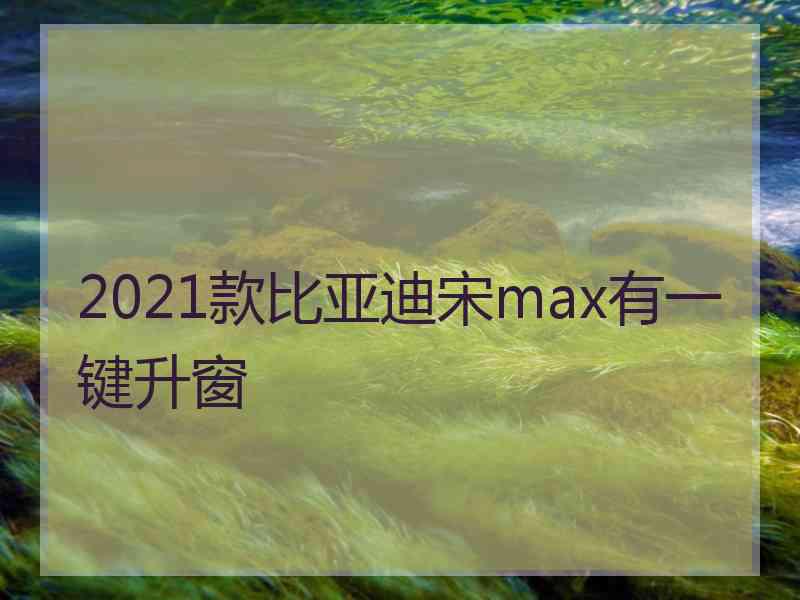 2021款比亚迪宋max有一键升窗