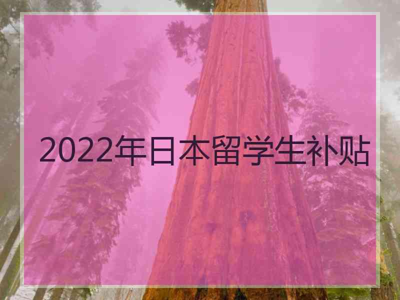 2022年日本留学生补贴