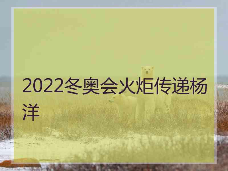 2022冬奥会火炬传递杨洋