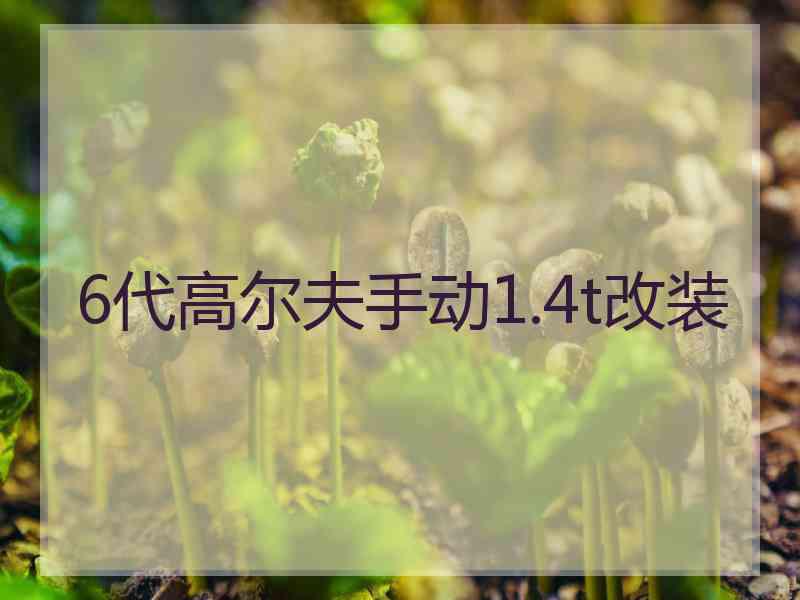 6代高尔夫手动1.4t改装