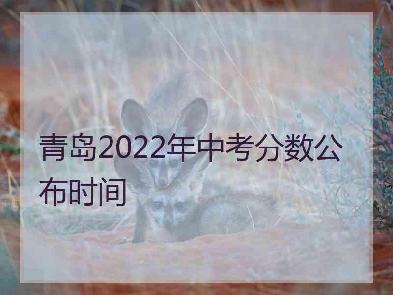 青岛2022年中考分数公布时间