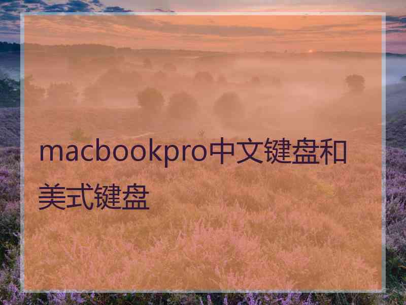 macbookpro中文键盘和美式键盘