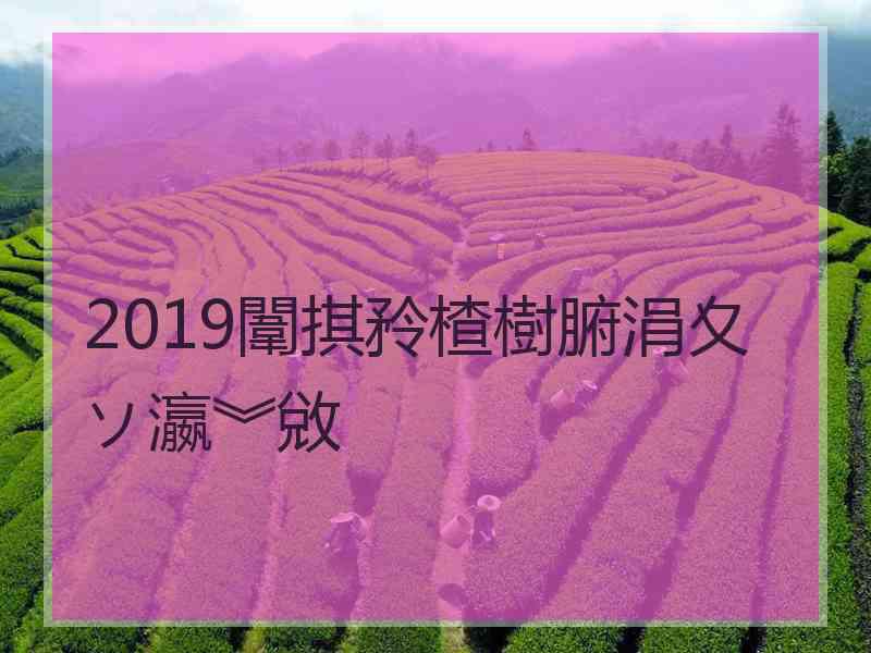 2019闈掑矝楂樹腑涓夊ソ瀛︾敓