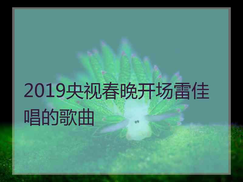 2019央视春晚开场雷佳唱的歌曲