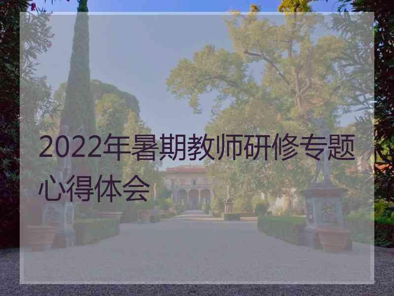 2022年暑期教师研修专题心得体会