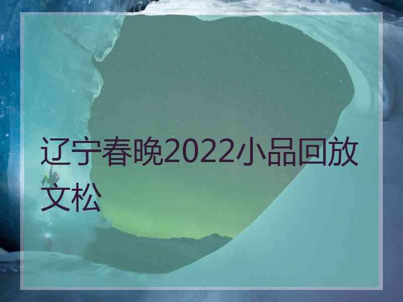 辽宁春晚2022小品回放文松