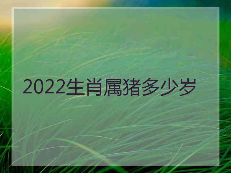 2022生肖属猪多少岁