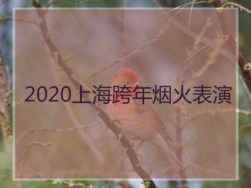 2020上海跨年烟火表演