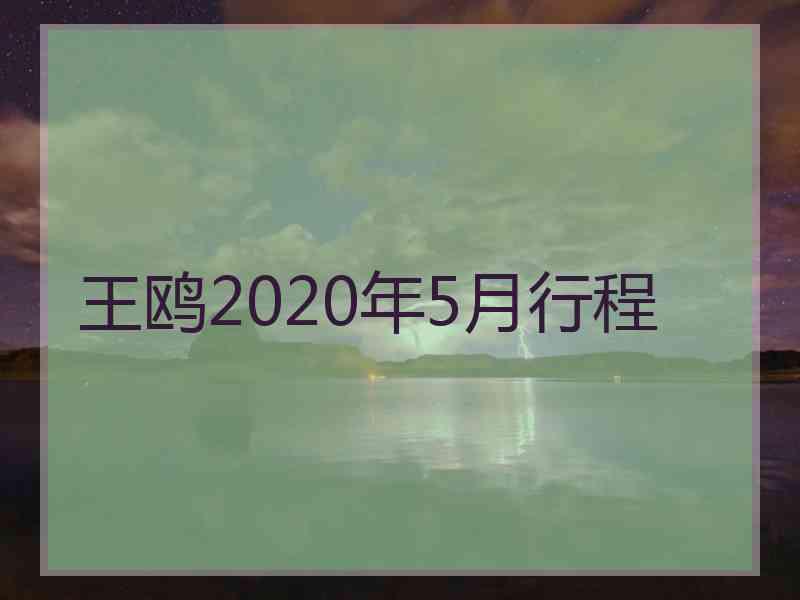 王鸥2020年5月行程