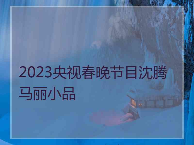 2023央视春晚节目沈腾马丽小品