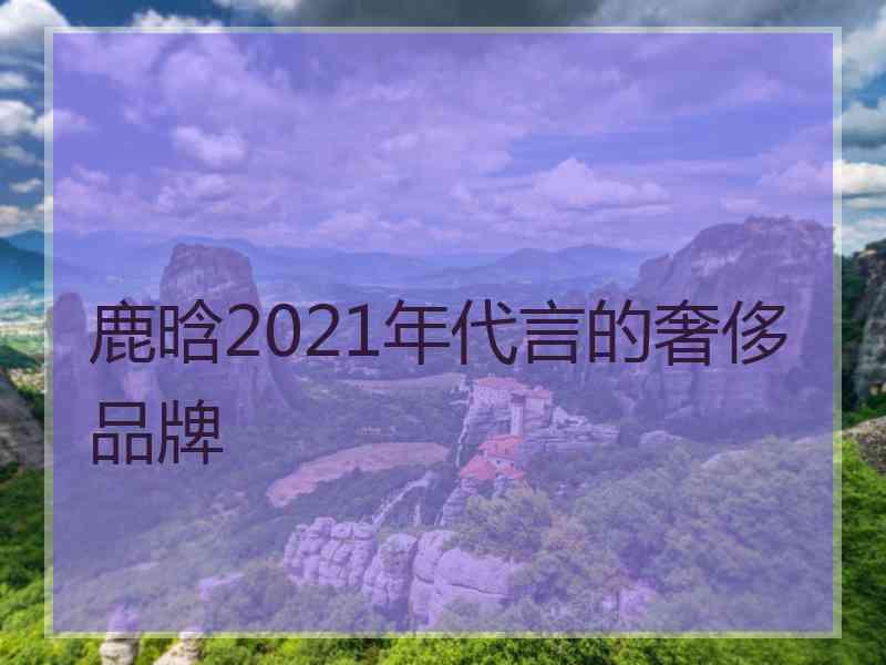 鹿晗2021年代言的奢侈品牌