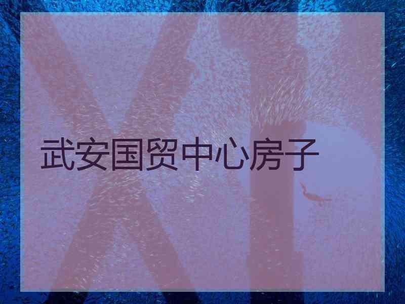 武安国贸中心房子