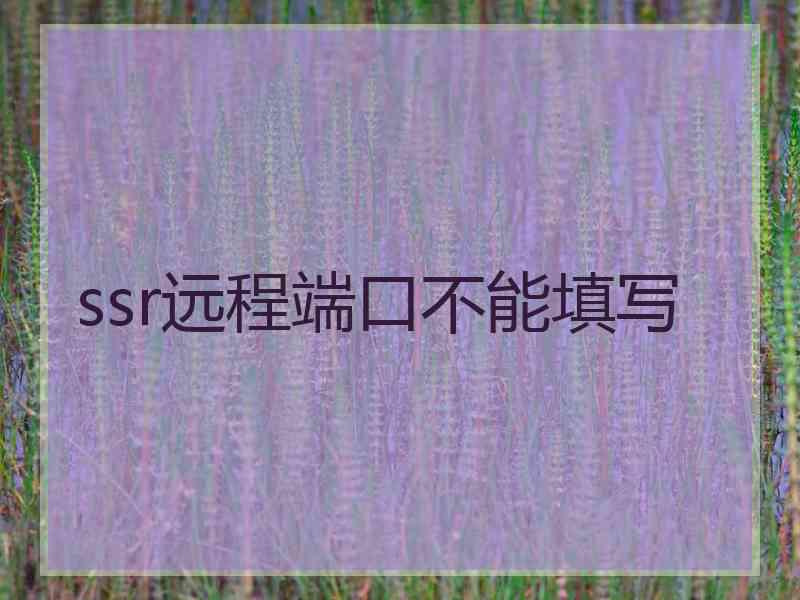 ssr远程端口不能填写