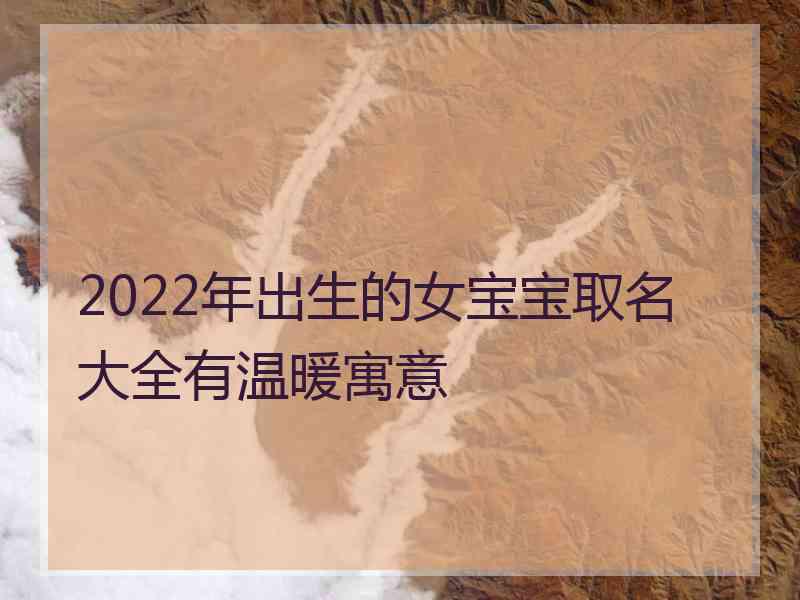 2022年出生的女宝宝取名大全有温暖寓意