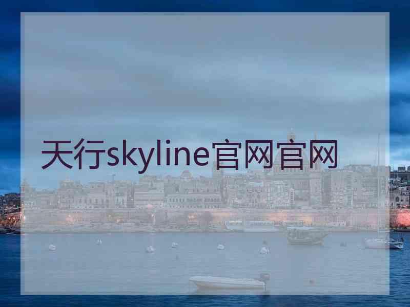 天行skyline官网官网