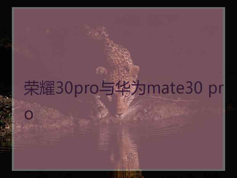 荣耀30pro与华为mate30 pro