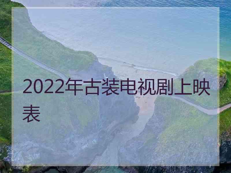 2022年古装电视剧上映表