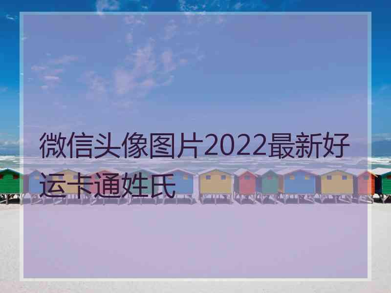 微信头像图片2022最新好运卡通姓氏