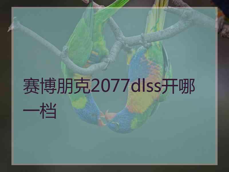 赛博朋克2077dlss开哪一档