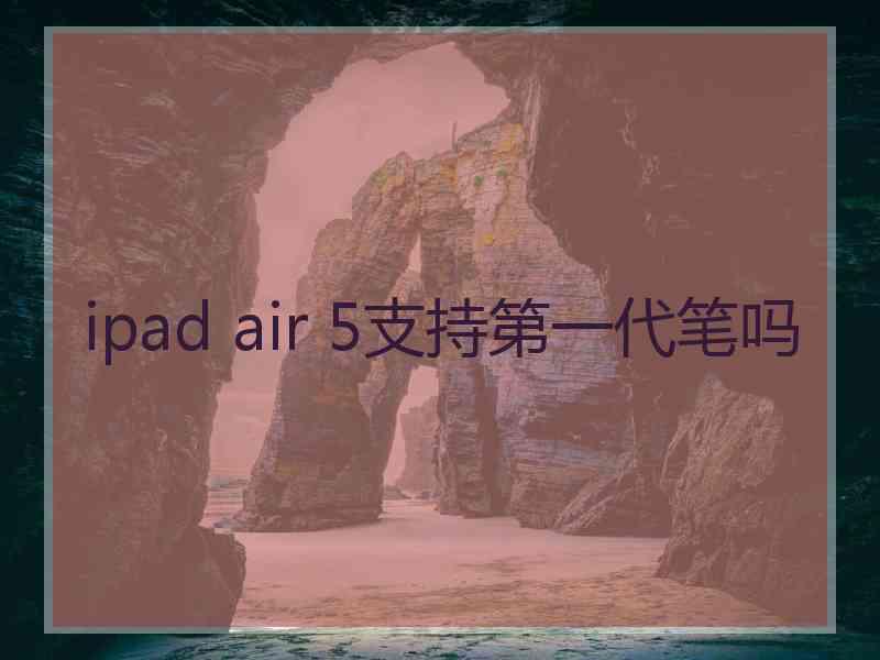 ipad air 5支持第一代笔吗