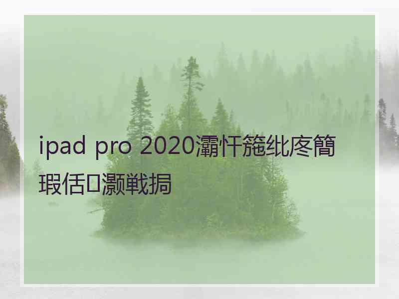 ipad pro 2020灞忓箷纰庝簡瑕佸灏戦挶