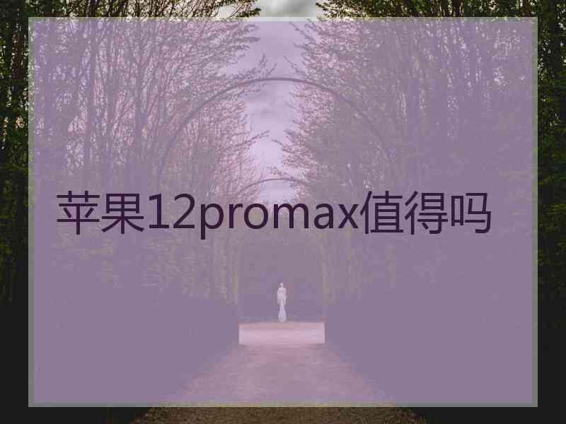 苹果12promax值得吗