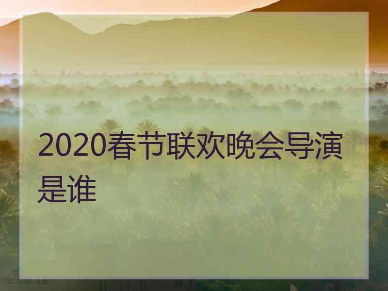 2020春节联欢晚会导演是谁