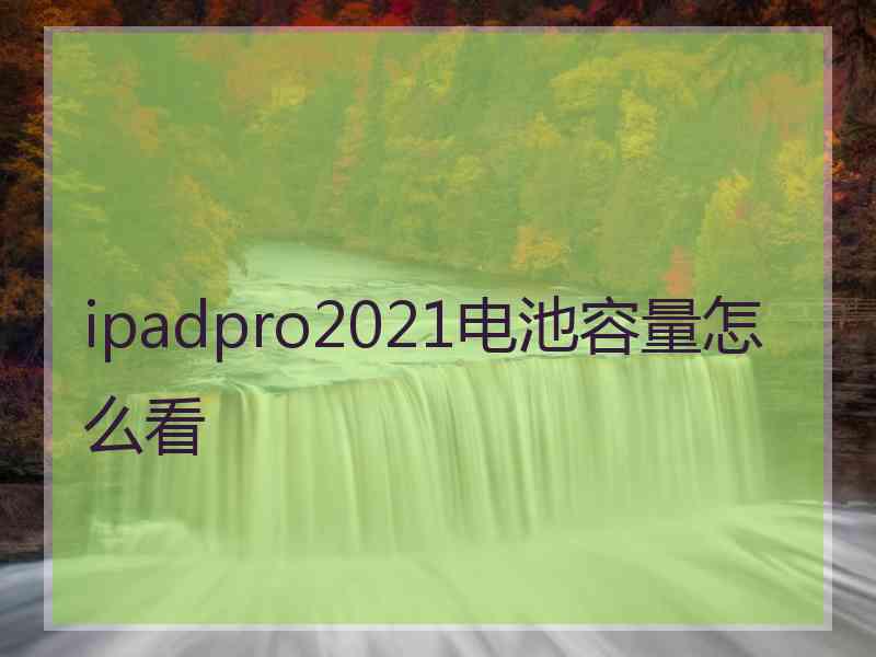 ipadpro2021电池容量怎么看