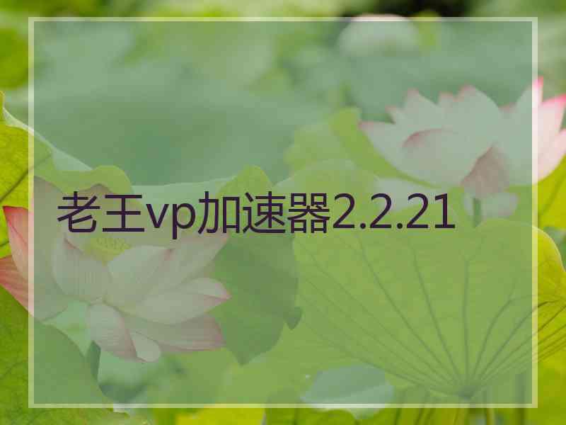 老王vp加速器2.2.21