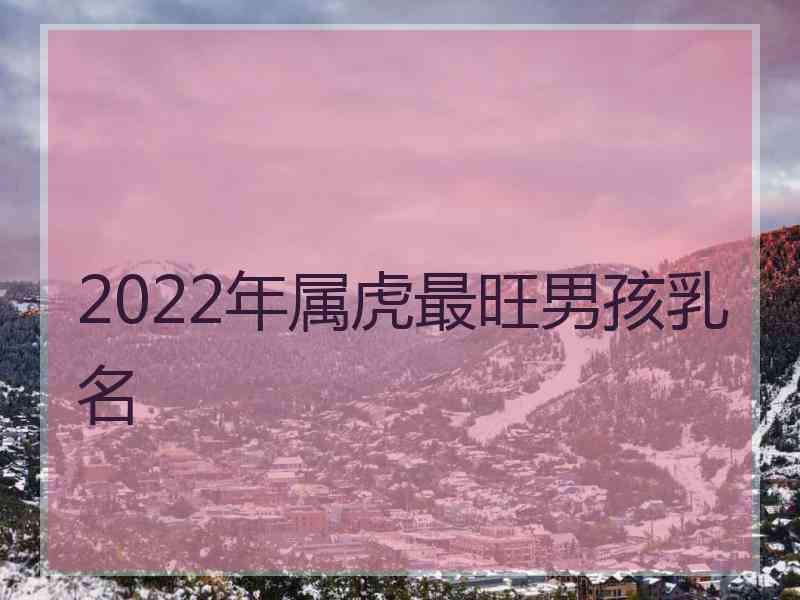 2022年属虎最旺男孩乳名