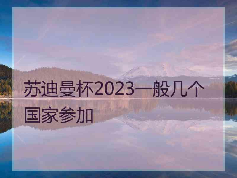 苏迪曼杯2023一般几个国家参加