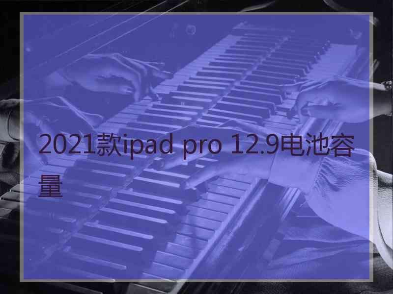 2021款ipad pro 12.9电池容量