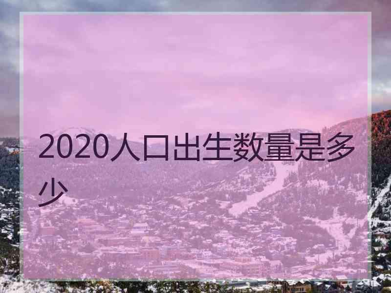 2020人口出生数量是多少