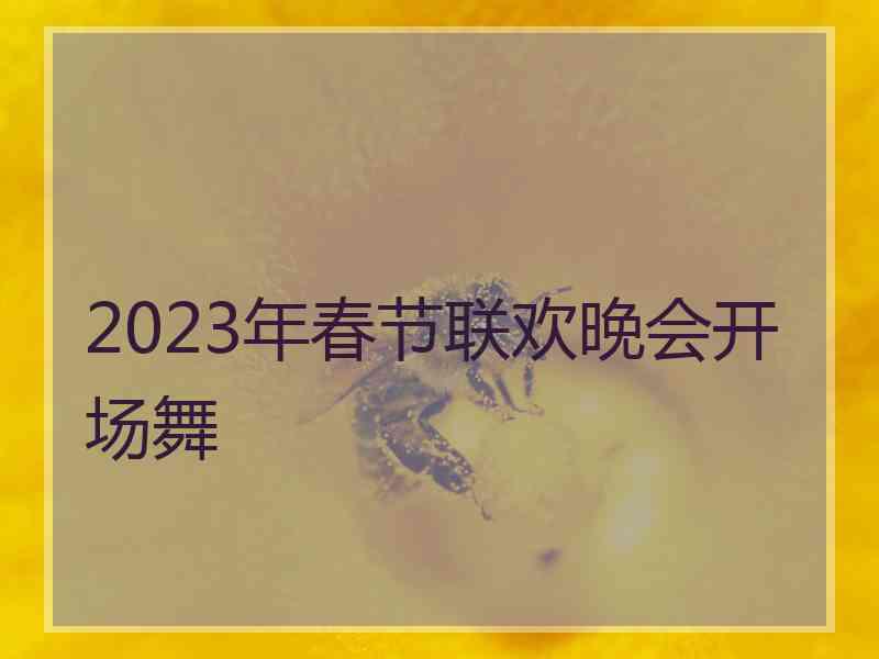 2023年春节联欢晚会开场舞