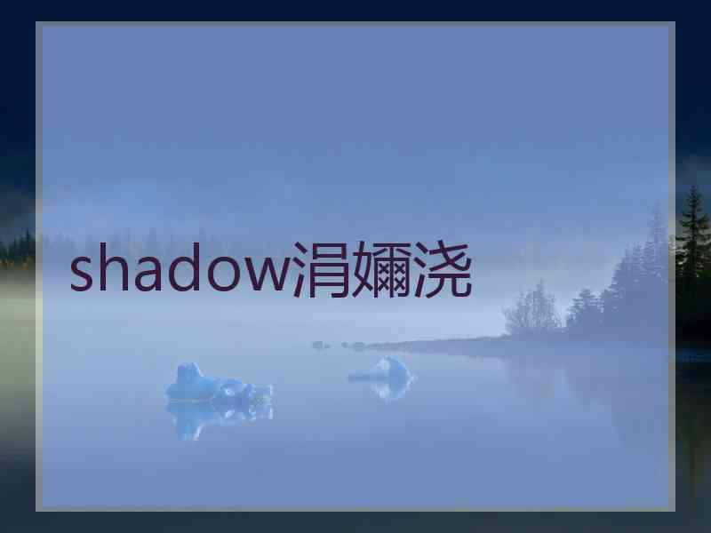 shadow涓嬭浇