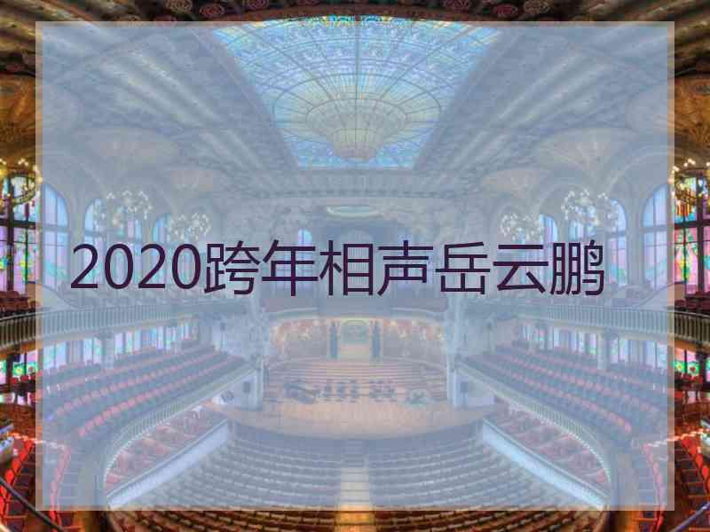 2020跨年相声岳云鹏