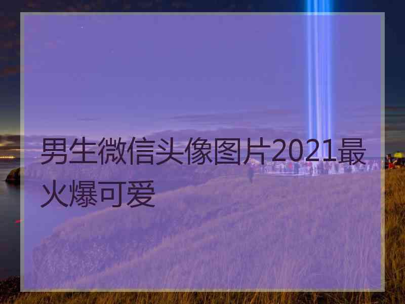 男生微信头像图片2021最火爆可爱