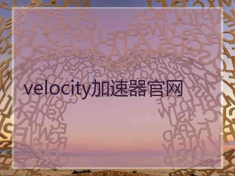 velocity加速器官网