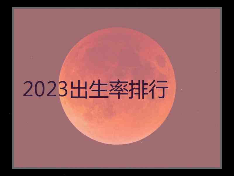 2023出生率排行