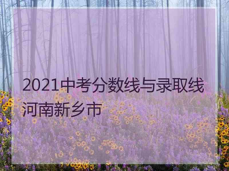 2021中考分数线与录取线河南新乡市